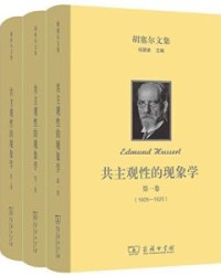胡塞尔文集 共主观性的现象学(全三卷）【埃德蒙德·胡塞尔】epub+mobi+azw3