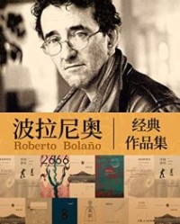 波拉尼奥经典作品集(套装10册)【罗贝托·波拉尼奥】epub+mobi+azw3