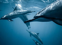 万物皆数学（套装共8册）【基特·耶茨、 等】epub+mobi+azw3